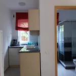 Holiday home Lenart House 1