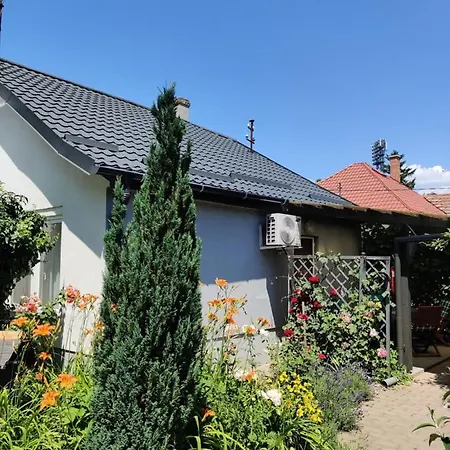 Lenart House 1 希欧福克